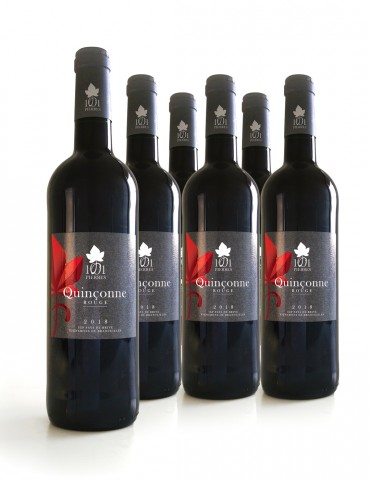 Carton de 6 bouteilles de Quinçonne Rouge - 1001 Pierres - Vin - 75 cl