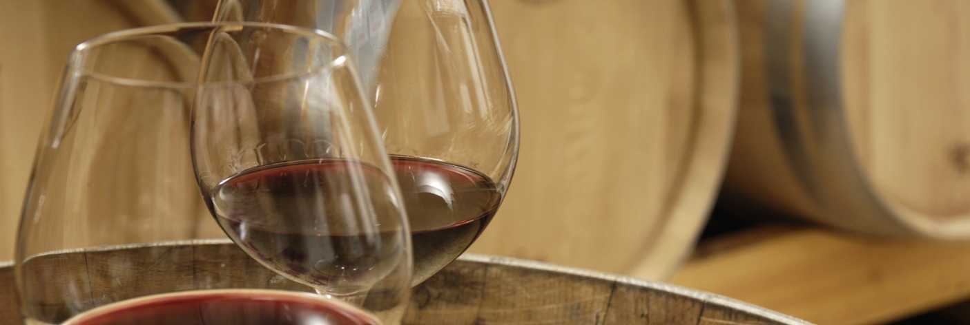 Dégustation des vins 1001 Pierres (Mille et Une Pierres) à la cave de Branceilles